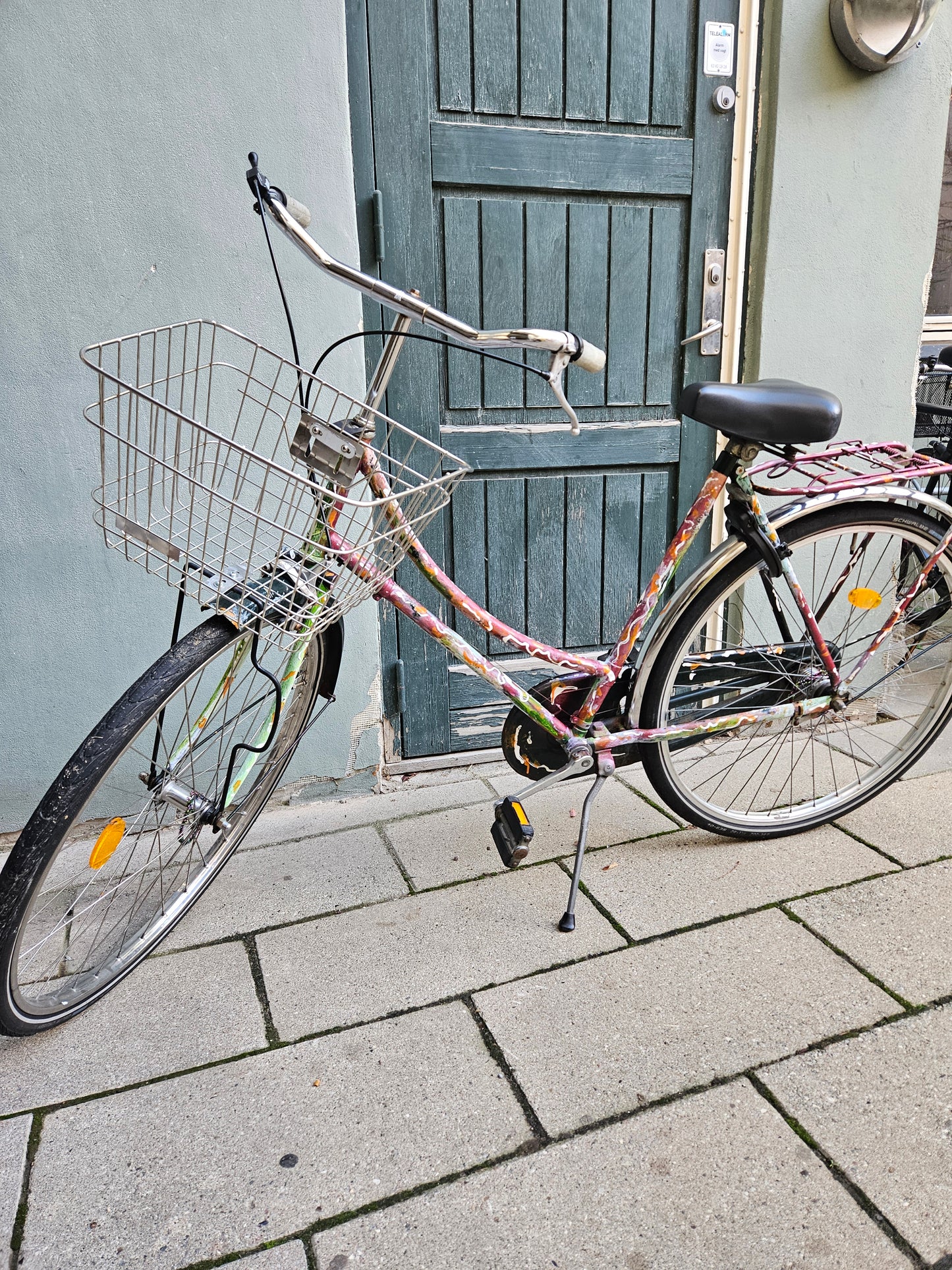 Adult Bike