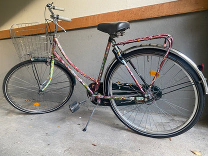 Adult Bike