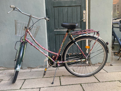 Adult Bike